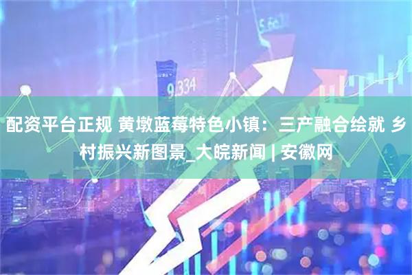 配资平台正规 黄墩蓝莓特色小镇：三产融合绘就 乡村振兴新图景_大皖新闻 | 安徽网